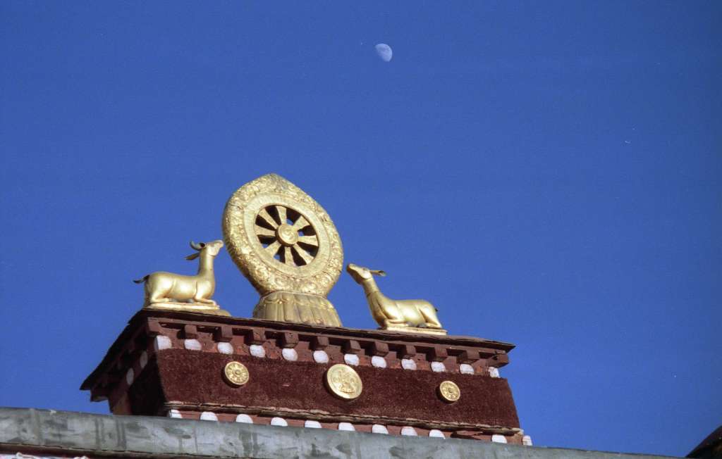 06 Dharma Wheel A Dharma Wheel, also called the Wheel of Law, represents the Buddha's teaching of the path to enlightenment. The hub stands for discipline, the rim refers to mindfulness, and the eight spokes denote the Eightfold Path set down by the Buddha, which leads to the cessation of all suffering. Since the original turning of the wheel occurred when the Buddha taught the five ascetics at the Deer Park in Sarnath, the dharma wheel is often seen with a deer on each side.